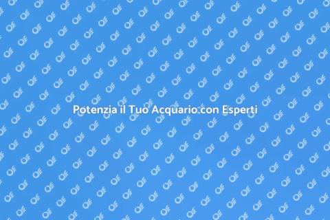 Supporto Professionale per il Tuo Acquario