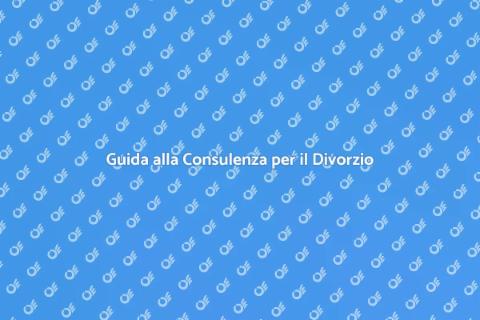 Consulenza per il Divorzio Professionale