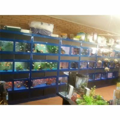 Aquarium  - Foto 4
