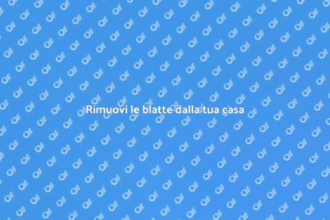 Disinfestazione contro le blatte