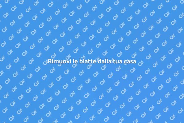 Soluzioni efficaci contro le blatte