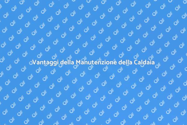 Perché Manutenere la Caldaia a Gas Metano?