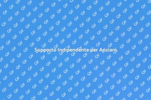 Assistenza Personalizzata per Anziani