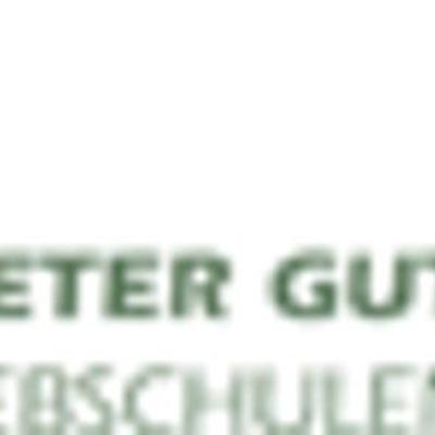 Peter Gutmann