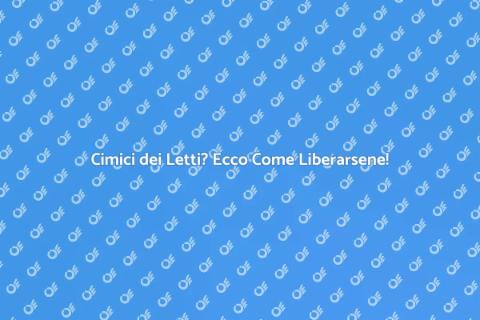 Disinfestazione Cimici: Soluzioni Efficaci