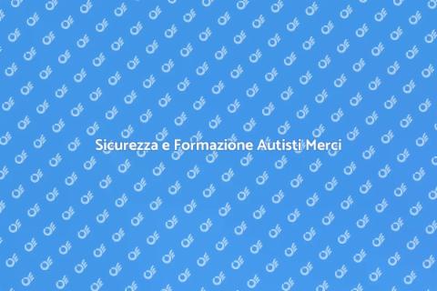 Formazione Gestione Carico Autisti