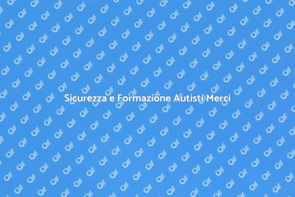 Gestione Carico: Chiave per la Sicurezza