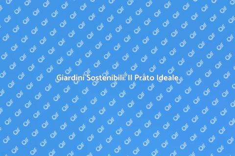 Prato con Impatto Zero Sostenibile