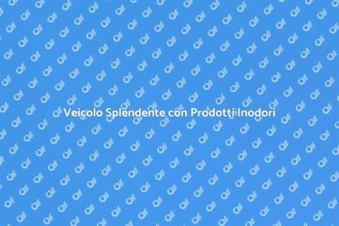 Pulizia Veicolo con Prodotti Inodori