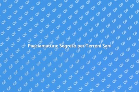 Pacciamatura: Cura del Terreno Efficace