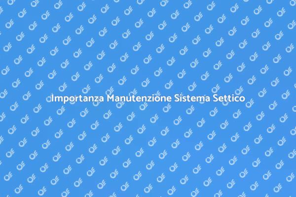 Manutenzione Efficace del Sistema Settico