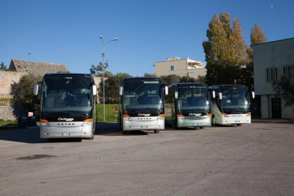 Ciccimarra Carlo e Figli Srl  - Foto 16