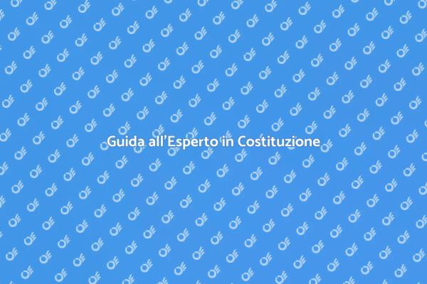 L'importanza dell'Esperto in Costituzione