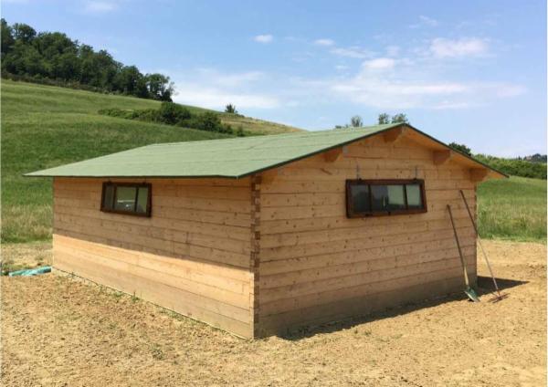 Opere in Legno di Martino Coppola_Impresa individuale - Foto 3