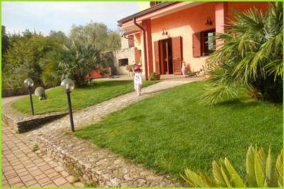 Segasidda  - Foto 3