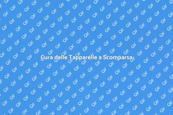 Tapparelle a Scomparsa: Come Manutenere