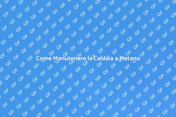 Manutenzione Straordinaria della Caldaia