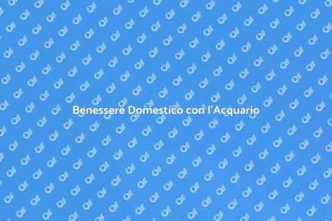 Acquario per la Felicità: Benessere Casa