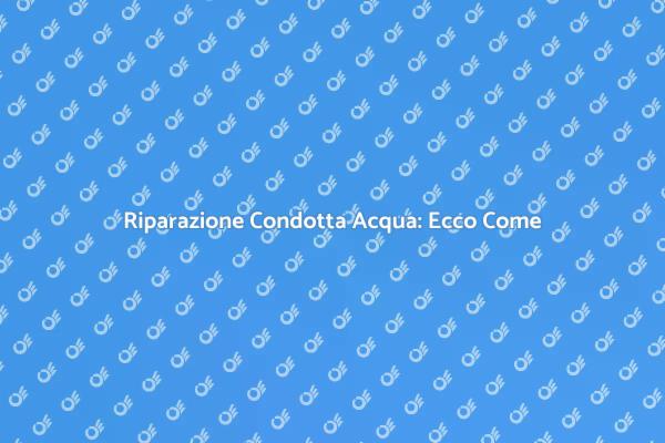 Crucialità della Riparazione Acqua