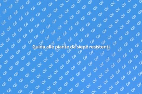 Piante da siepe resistenti alla siccità