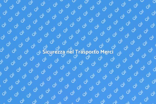Importanza del Controllo Carichi