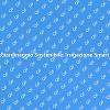 Irrigazione Efficiente per Giardini Moderni