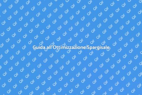 Ottimizzazione Spargisale per Inverno
