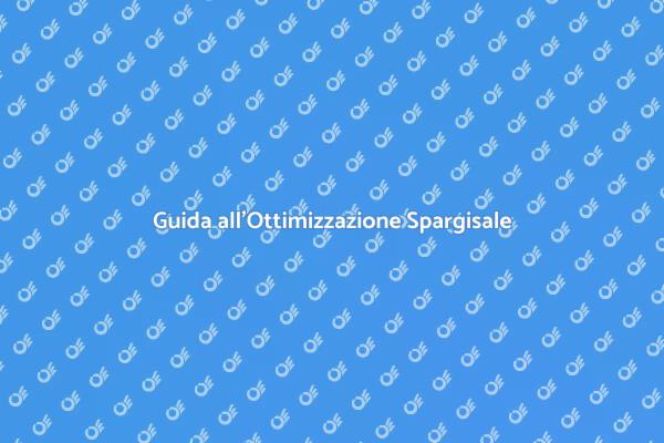 Efficacia del Sistema di Spargisale