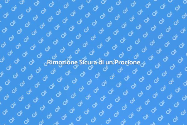 Come Rimuovere un Procione in Sicurezza