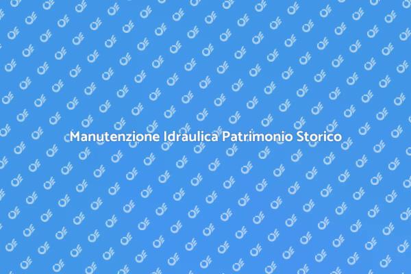 Tutela del Patrimonio: Ispezione Idraulica