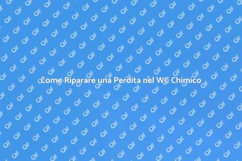 Riparare Perdite WC Chimico