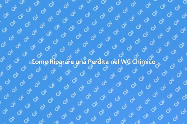 Riparazioni Facili per WC Chimico