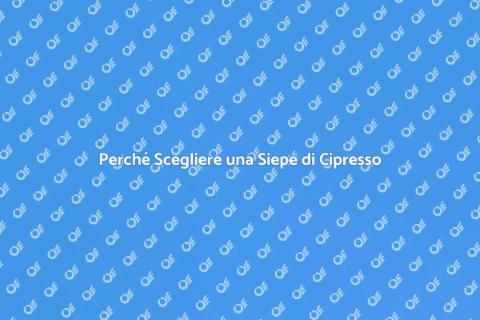 Siepe di Cipresso: Vantaggi e Bellezza