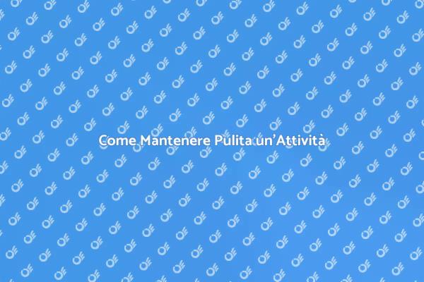 Pulizia e Successo nell'Attività