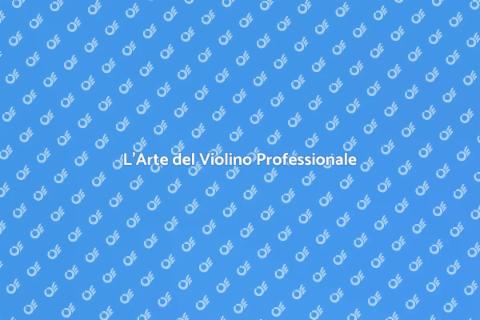 Violino Professionale: Tradizione e Passione