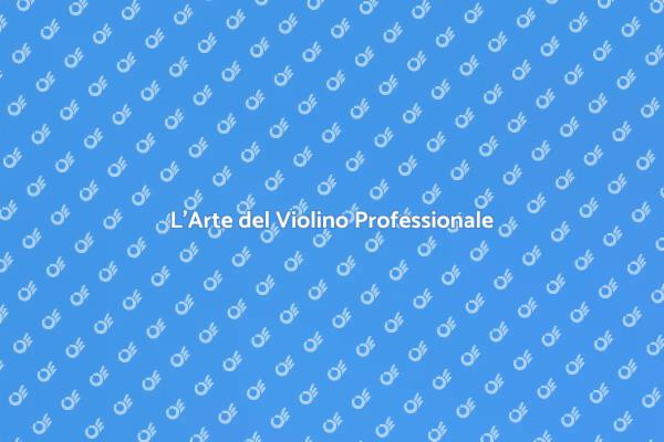 Violino Professionale: Passione e Maestria
