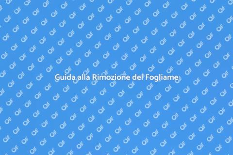 Rimuovere il Fogliame per un Giardino Sano