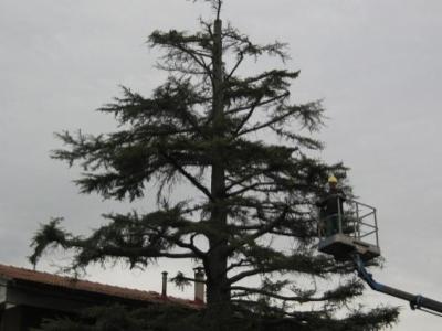 Tecnogreen  - Foto 3