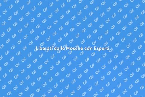 Disinfestazione Mosche Professionale