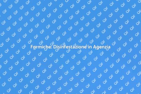 Disinfestazione Formiche in Agenzia