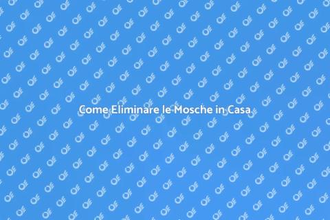 Disinfestare Mosche: Guida Completa