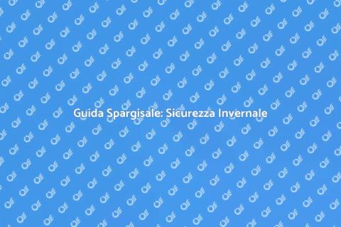 Corretto Utilizzo Spargisale Invernale