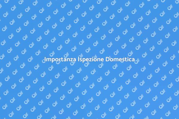 Scopri l'Importanza dell'Ispezione Domestica