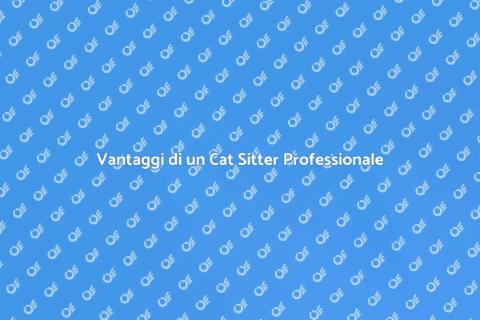 Cat Sitter Professionale: Perché Scegliere