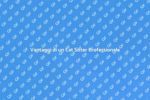 Importanza del Cat Sitter Professionale