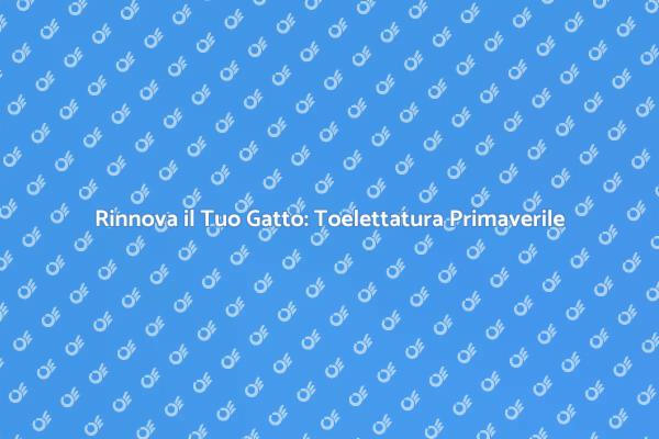 Rinnova il Look del Tuo Gatto