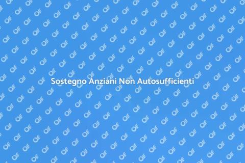 Assistenza per Anziani Non Autosufficienti