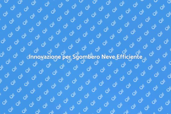 Sgombero Neve: Soluzione Intelligente