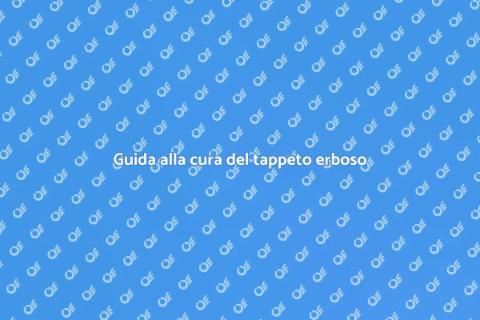 Tappeto erboso ideale: guida completa
