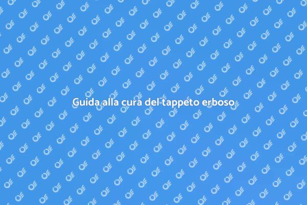 Come ottenere un tappeto erboso ideale